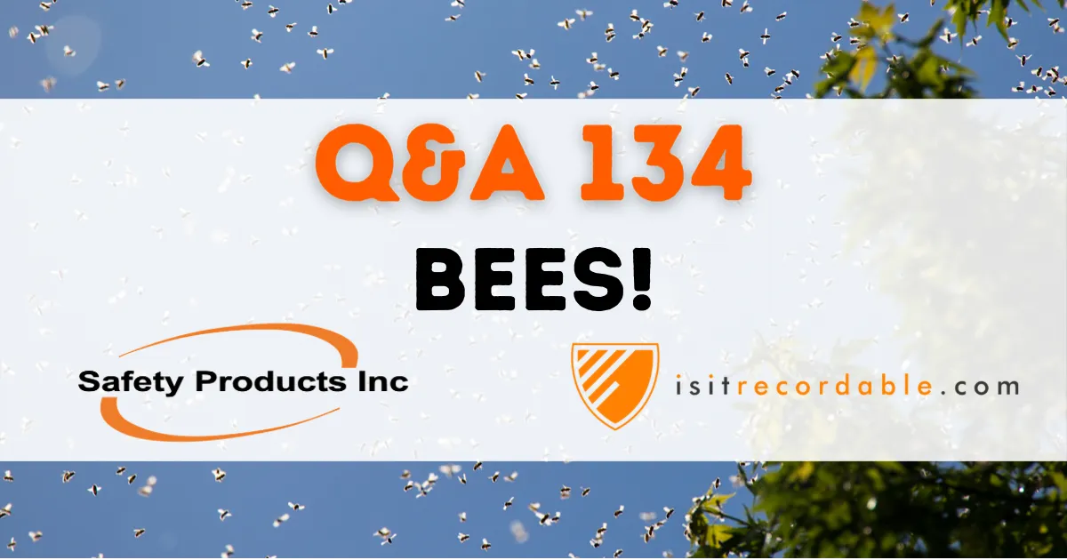 Illustration for the scenario: BEES!