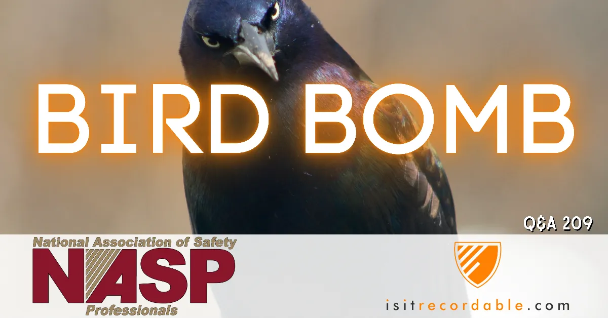 Illustration for the scenario: Bird Bomb
