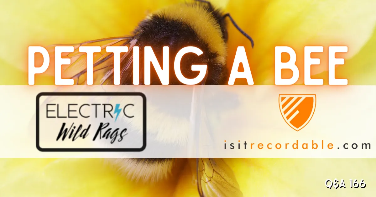 Illustration for the scenario: Petting a Bee